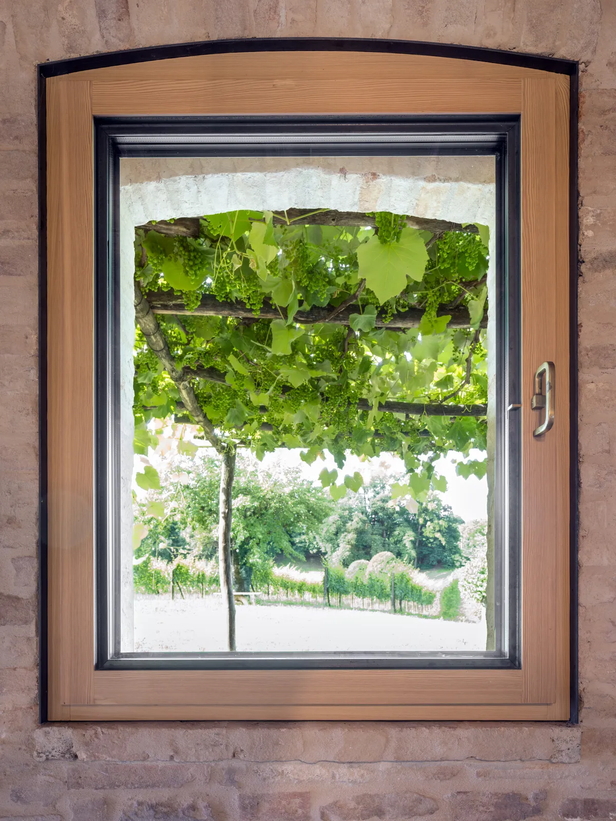 Finestra ad arco ribassato in larice con cornice in ferro, vista sul giardino